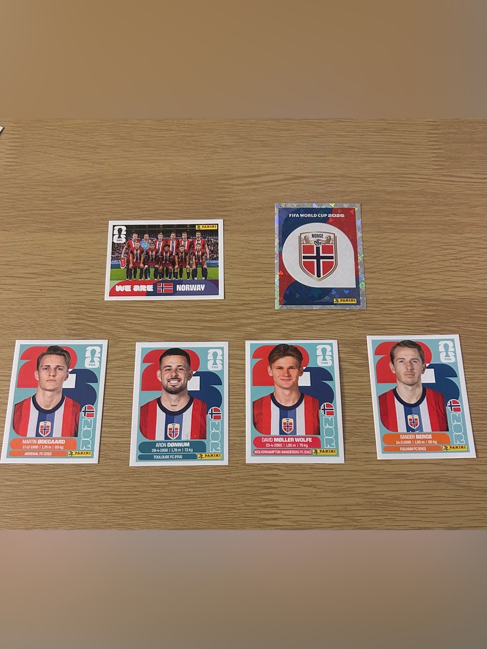 Panini Norway National Team Sticker Set